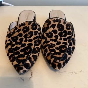 Leopard mules